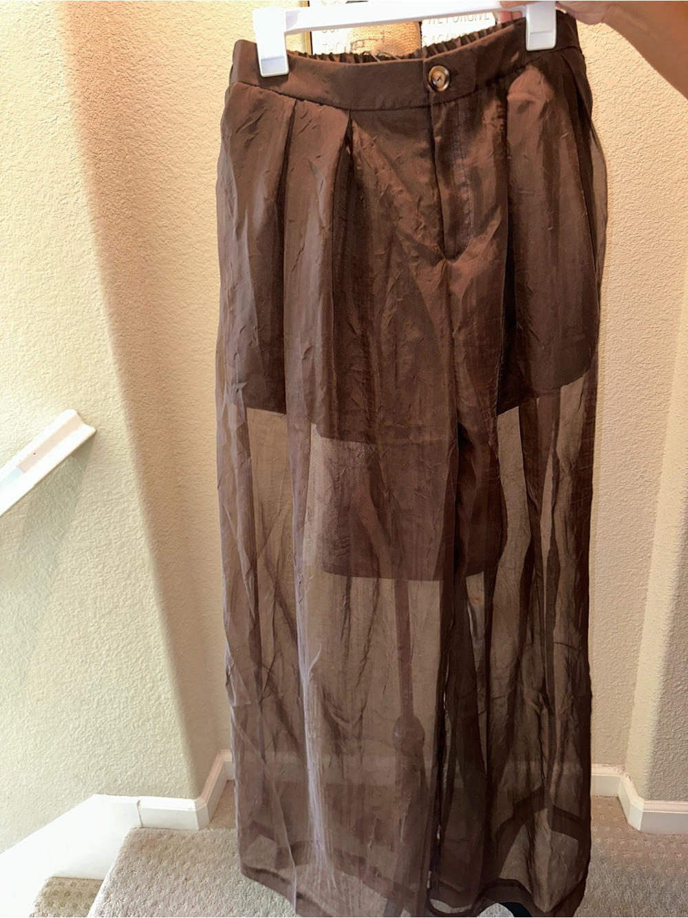 Sheer Brown Wide Leg Pants